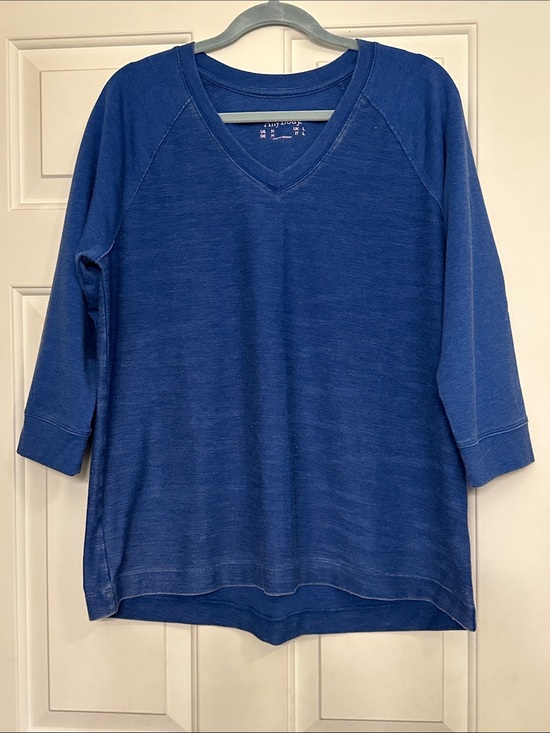AnyBody Tops - AnyBody Women's Blue V-Neck Pullover